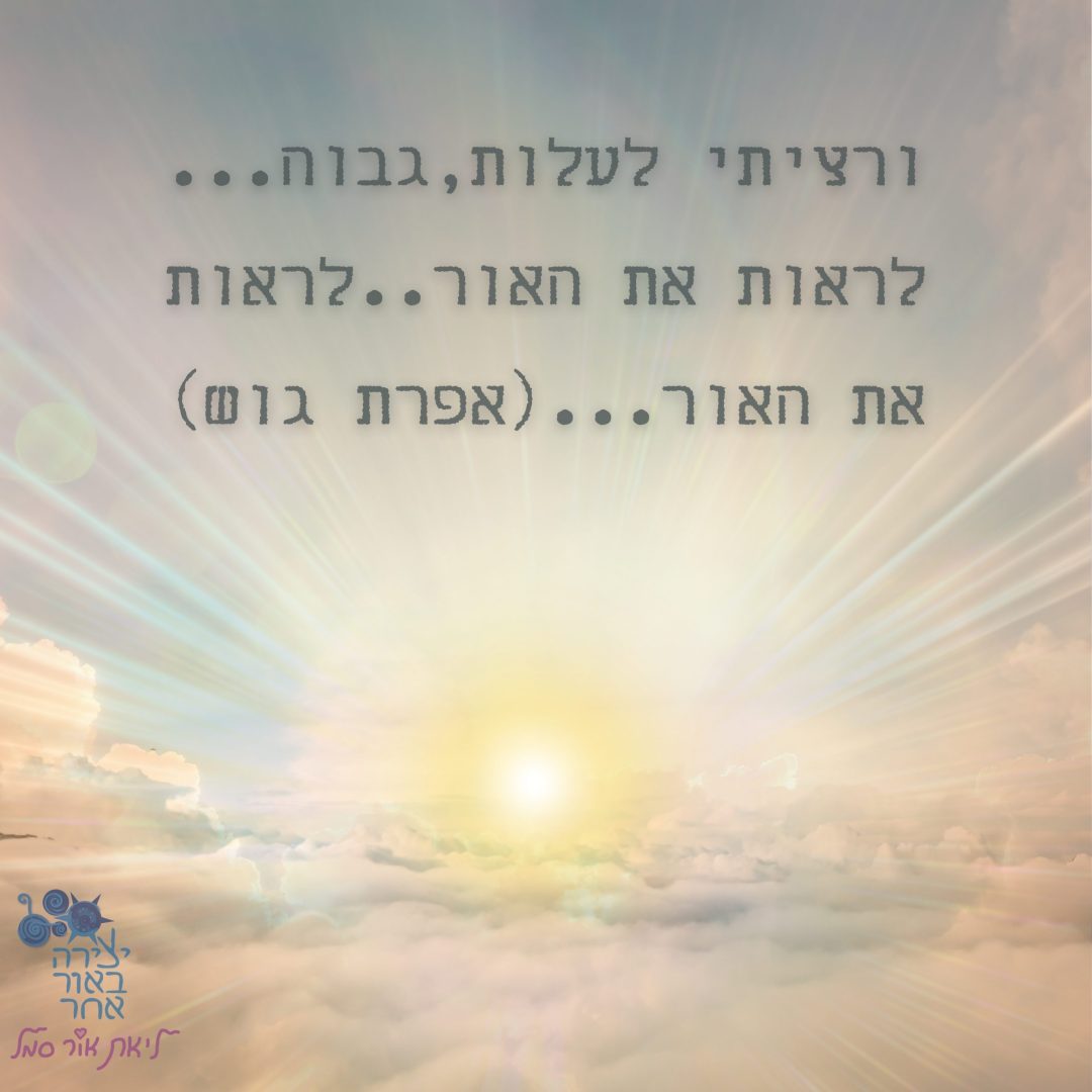 לראות את האור